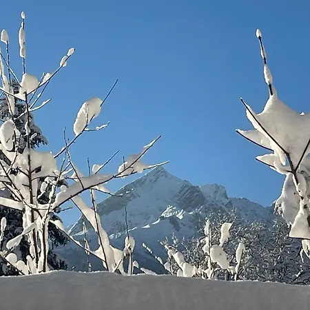 Alpine Garden Apartament *